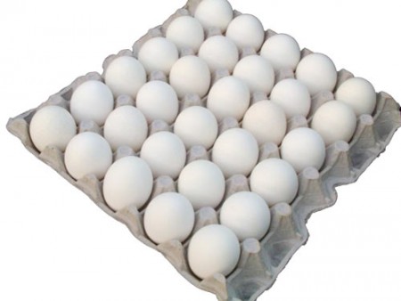 Fresh White Chicken Eggs